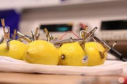 学生用柠檬做电池.